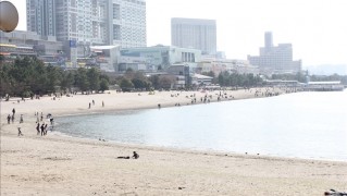 お台場海浜公園の砂浜