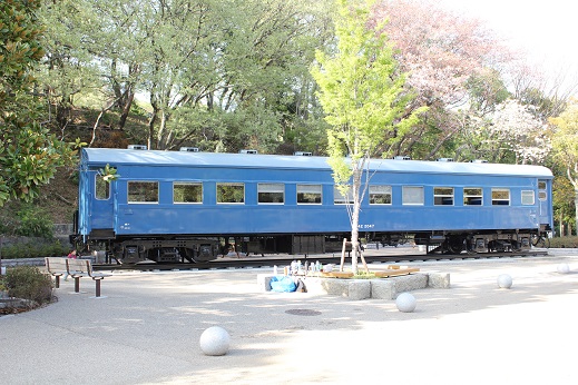 生田緑地電車