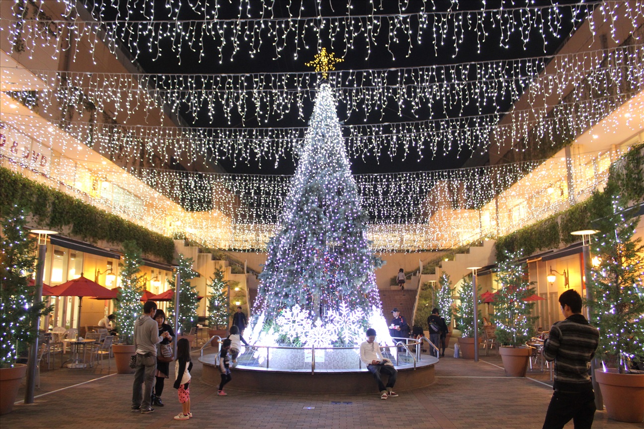 トレッサ横浜豪華で綺麗なリスマスツリー