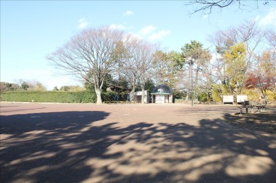 公園の広場