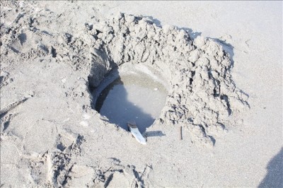 砂浜で穴掘りをして遊ぶ